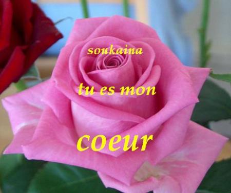 tu es mon coeur souka
